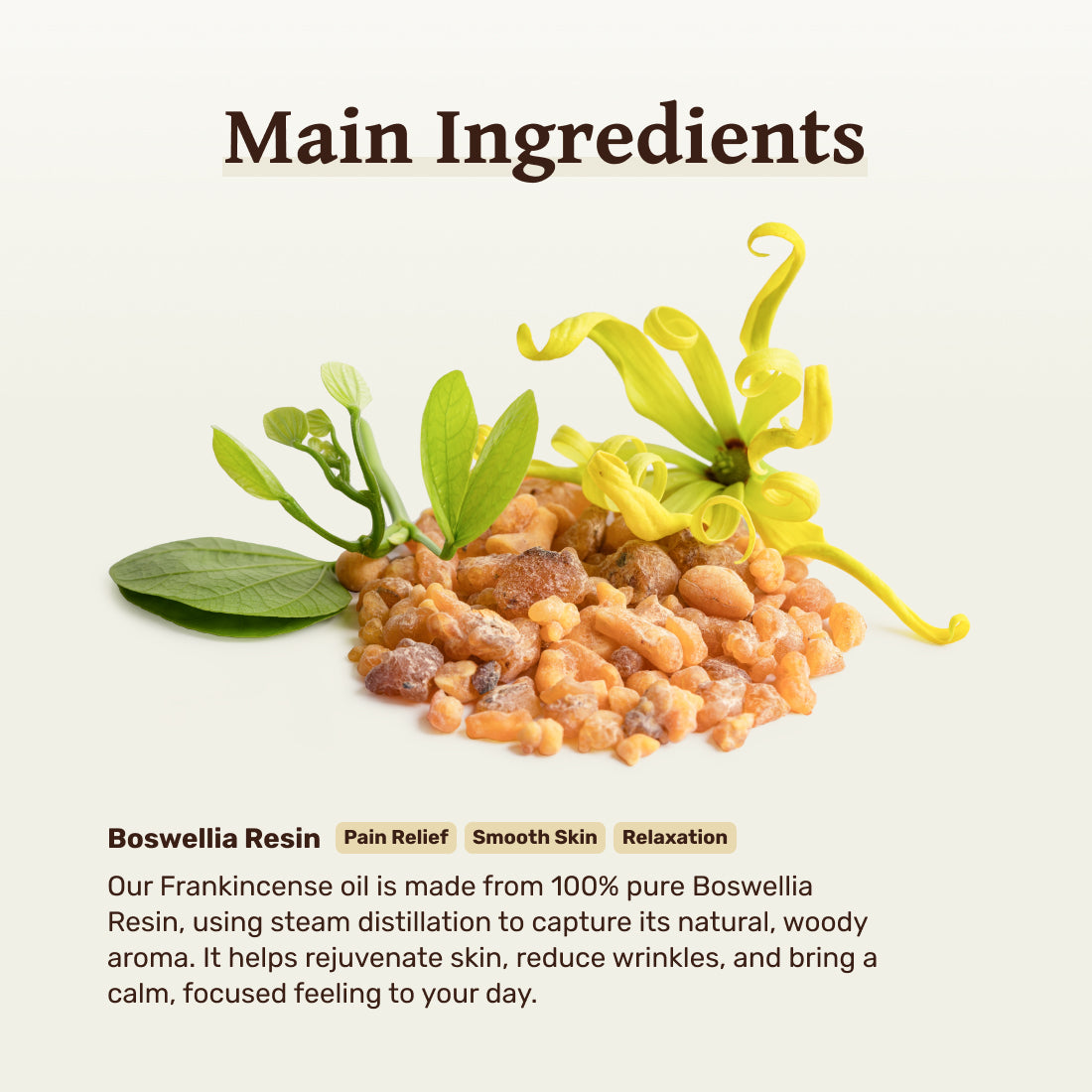 Frankincense Pain Bundle