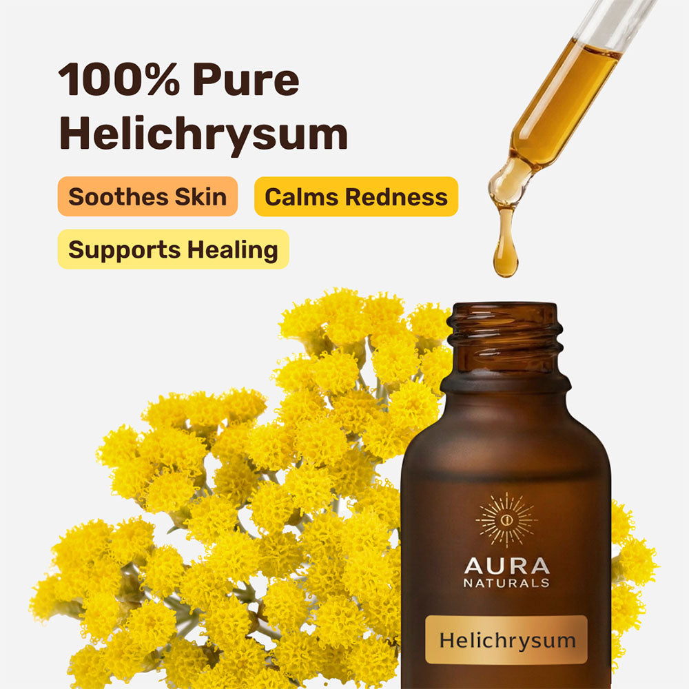 Helichrysum