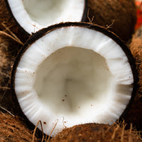Coconut Oil