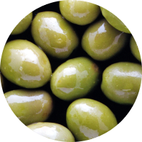 Olive Oil (Olea europaea)